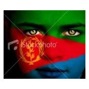 Mohammed Omran's photo
