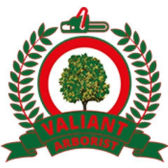Valiant Arborist Ltd