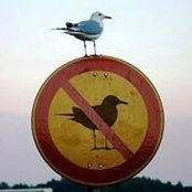 Suz Lomas's photo