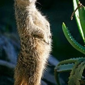 Tanya Boyanova's photo