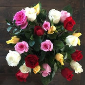 Robin Tamboline's photo