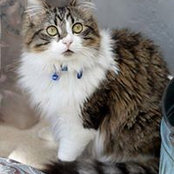 Kelly Lanspa's photo