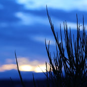Lori Faulkner's photo