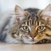 Deb Pman's photo