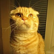 Rita Vasilcenko's photo
