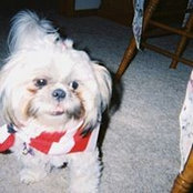 Barbara Kozera's photo