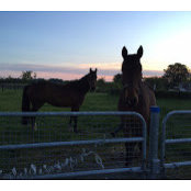 Imelda Norris's photo