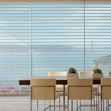 Window Sheers and Shadings