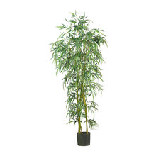 Wish List