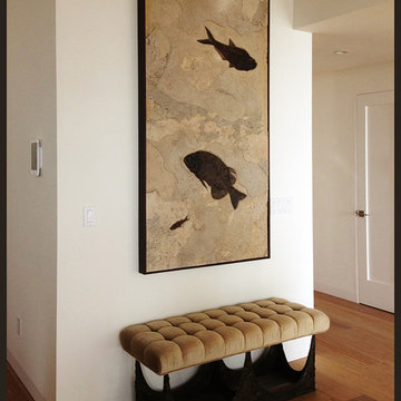Fossil Mural Wall Art