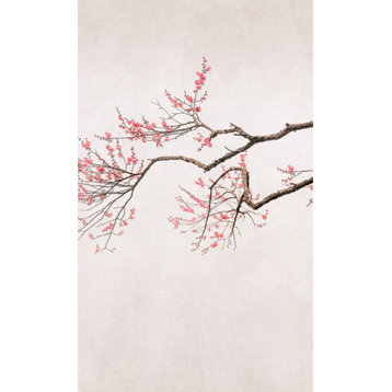Cherry Blossom Floral Wallpaper 75.11 Sqft., Beige, Roll