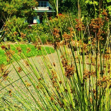 Church Rain Garden Island (sm) & Pervious Pavers