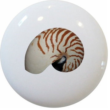 Nautilus Seashell Ceramic Cabinet Drawer Knob