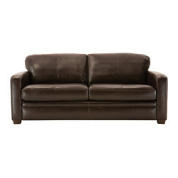 Trent Leather Sleeper Sofa - Sofas