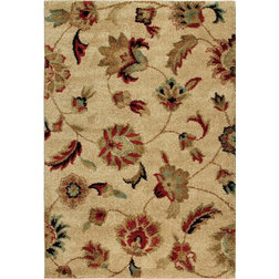 Traditional Area Rugs by Orian Rugs