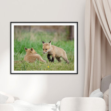 Baby Red Foxes Coming To Get You Rustic Farmhouse Style Wall Art Prints