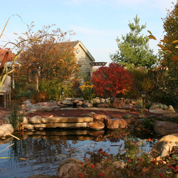 Backyard Retreat