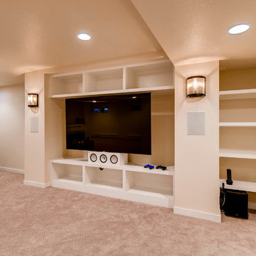 Eagle Modern Basement