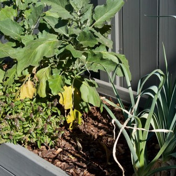 Farm Box vegetable garden painted to complement fence.