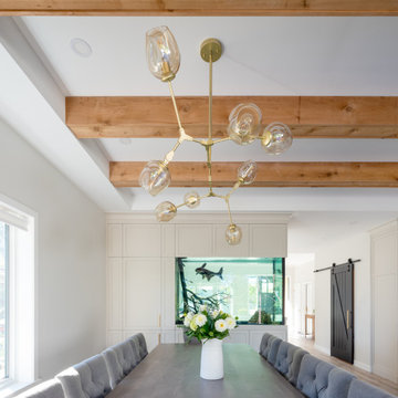 Contemporary kitchen and fish tank