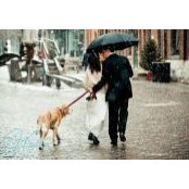 Jennifer Abbatiello's photo
