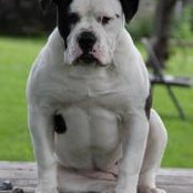 Kellie Saccone's photo