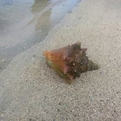 Shelley Hatch's photo