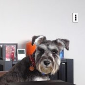 Ann Crossley's photo