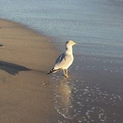 Cyann Dopp's photo
