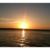 Amanda Fox's photo