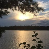 Julie Hardt's photo
