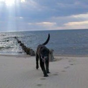 Betsey Marsh's photo