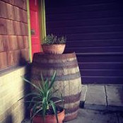 Kate Jaceldo's photo