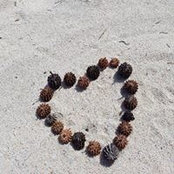 Val V's photo