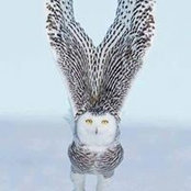 Tina Cox's photo
