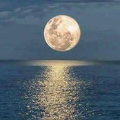 Sue Brown's photo