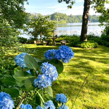 One Fantastical Garden