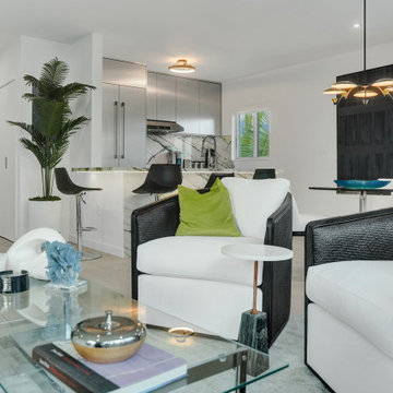 Miami Beach Living Room Remodel with Modern Coastal Seating