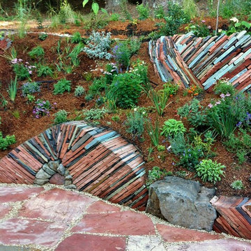 Newly planted