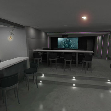 Polished Contemporary Lower Level