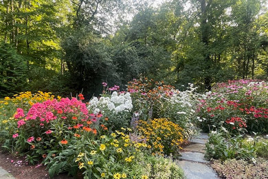 Design ideas for a backyard landscaping.