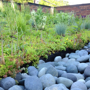 Rooftop Garden Dividing Plantings from River Rock Border