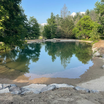 Pond Revitalization