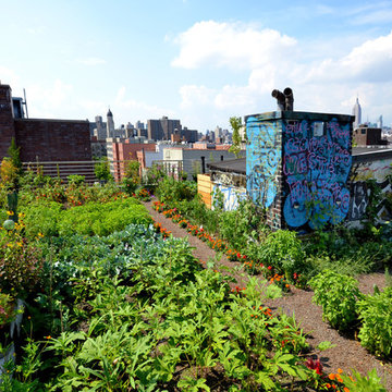 UMBRELLA HOUSE ROOFTOP GARDEN