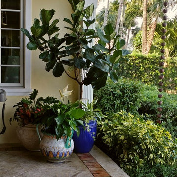 Patio Paradise