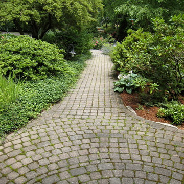Urban Oasis