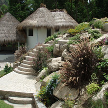 Succulent Garden Ideas