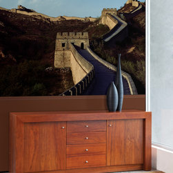 National Geographic Murals - Wall Decals