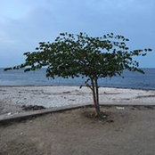 Foto von Riyas Ahamed