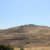 Vadim Galperin's photo